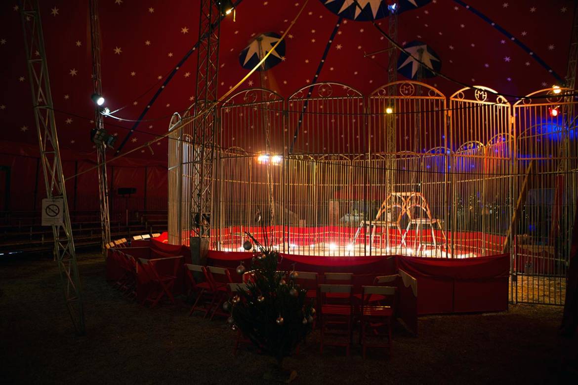 organisation_cirque_soiree_noel_8.jpg